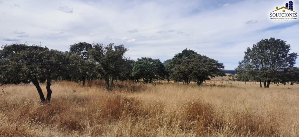 Terreno en Fraccionamiento Ecuestre Nueva Inglaterra