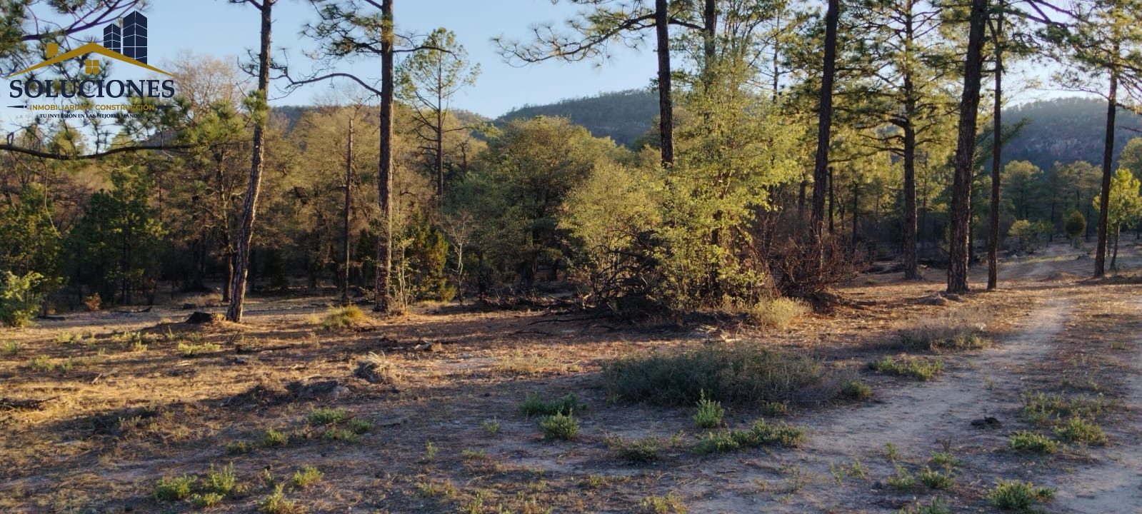HECTÁREAS HACIENDA DE OTINAPA