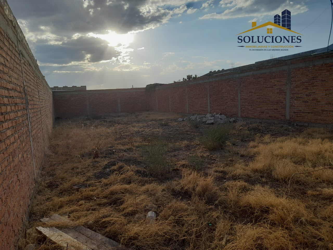 COLONIA CONSTITUYENTES