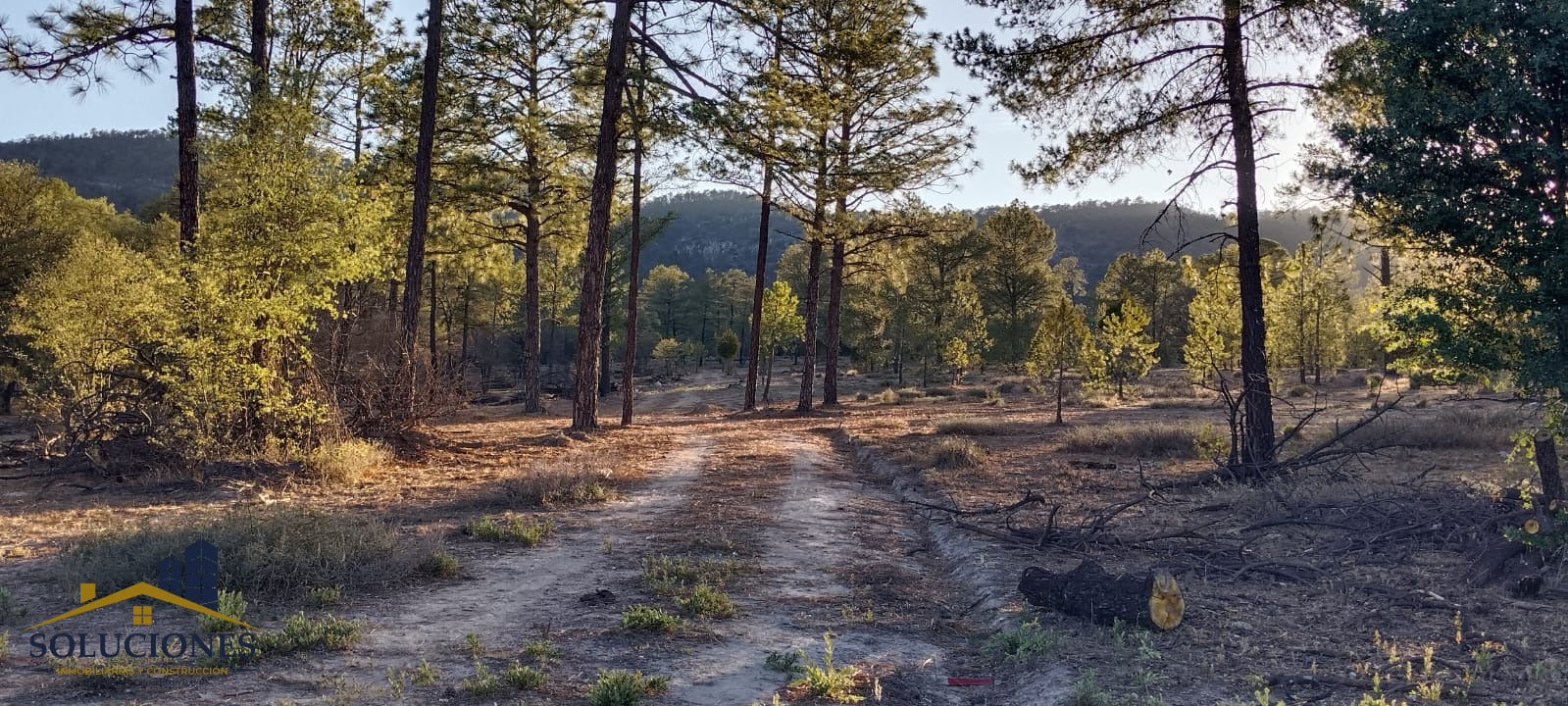 HECTÁREAS HACIENDA DE OTINAPA