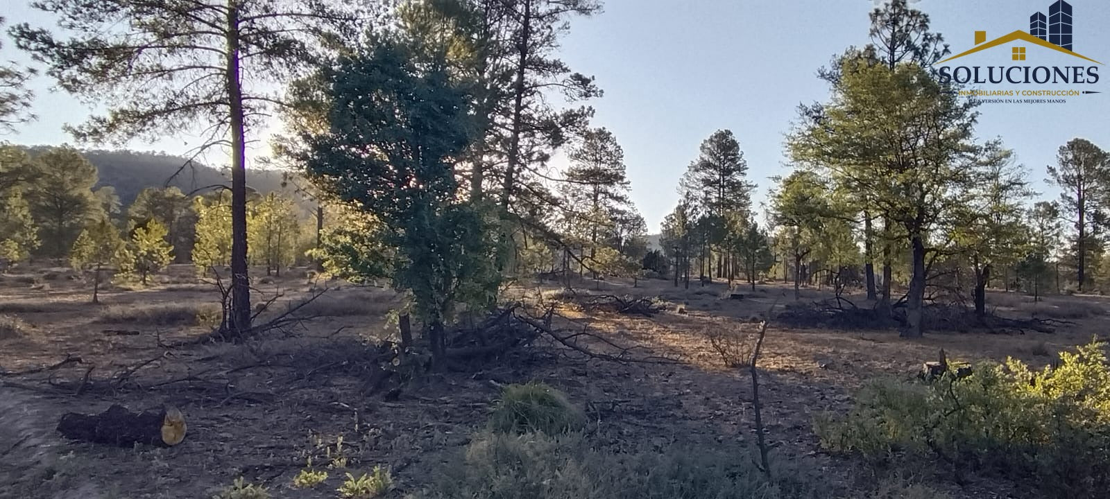 HECTÁREAS HACIENDA DE OTINAPA