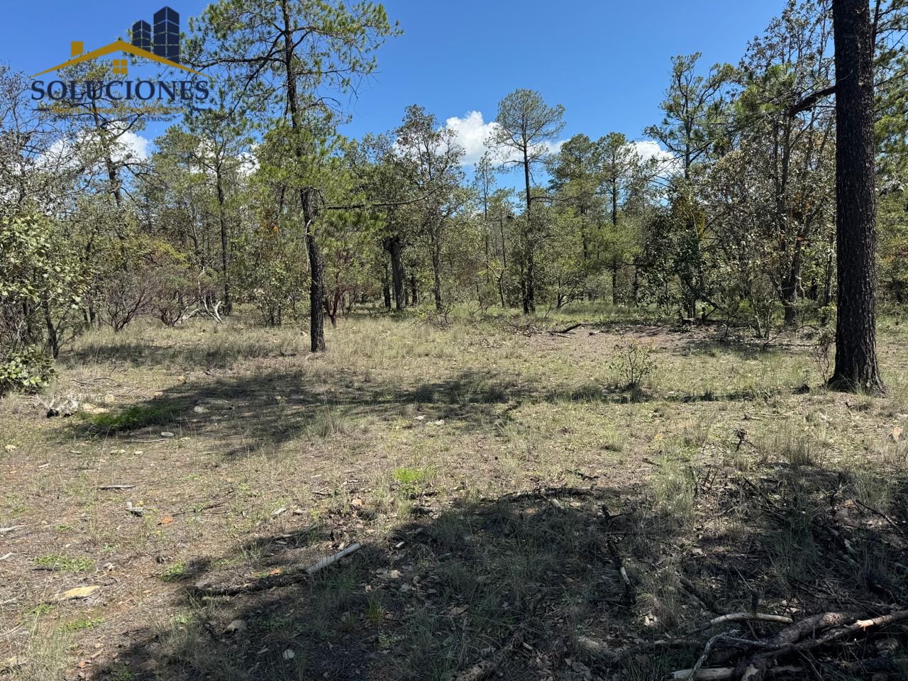 TERRENO CAMPESTRE PASEO DE LA SIERRA