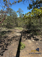 TERRENO CAMPESTRE PASEO DE LA SIERRA