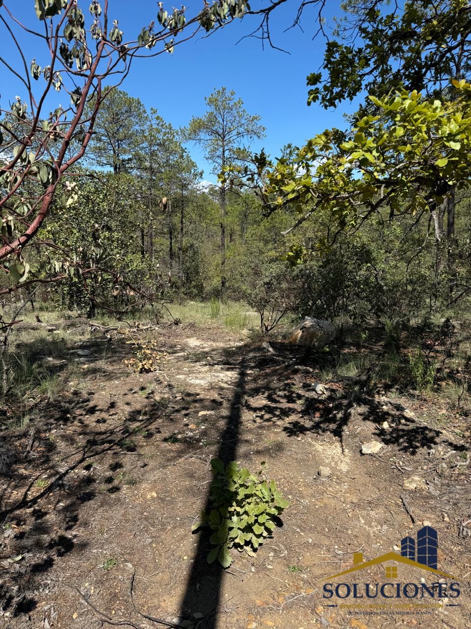 TERRENO CAMPESTRE PASEO DE LA SIERRA