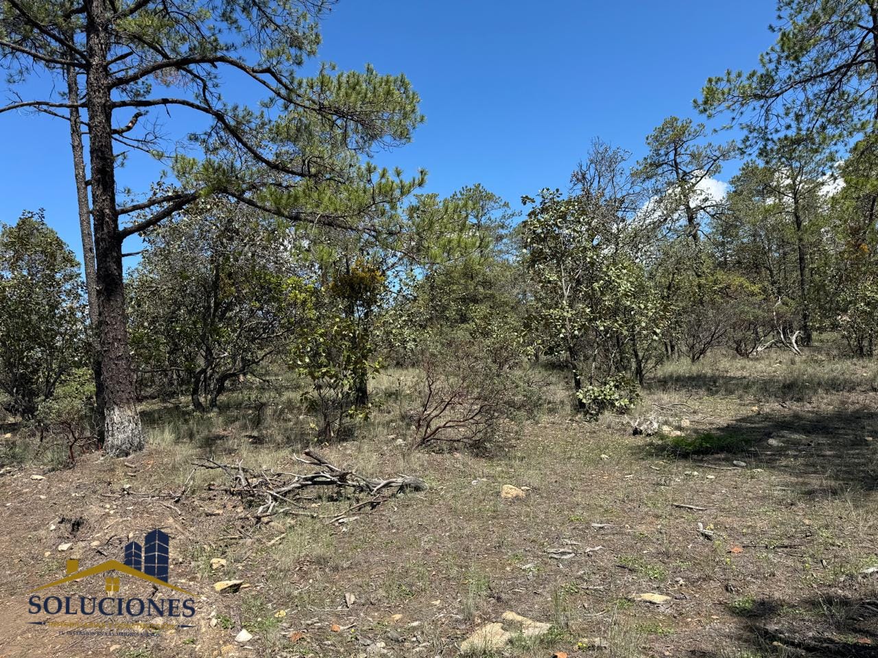 TERRENO CAMPESTRE PASEO DE LA SIERRA