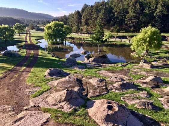 TERRENO CAMPESTRE RANCHO EL OSO