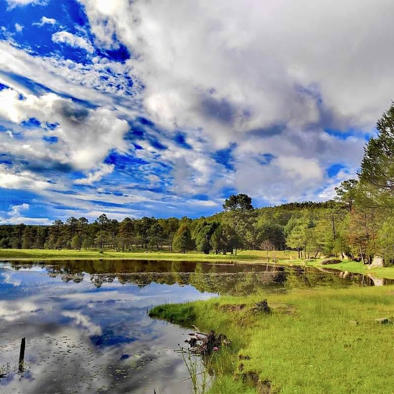TERRENO CAMPESTRE RANCHO EL OSO