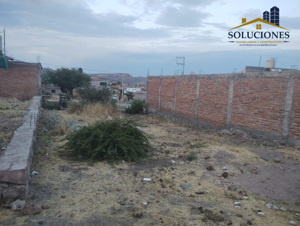 COLONIA BAJIO DORADO