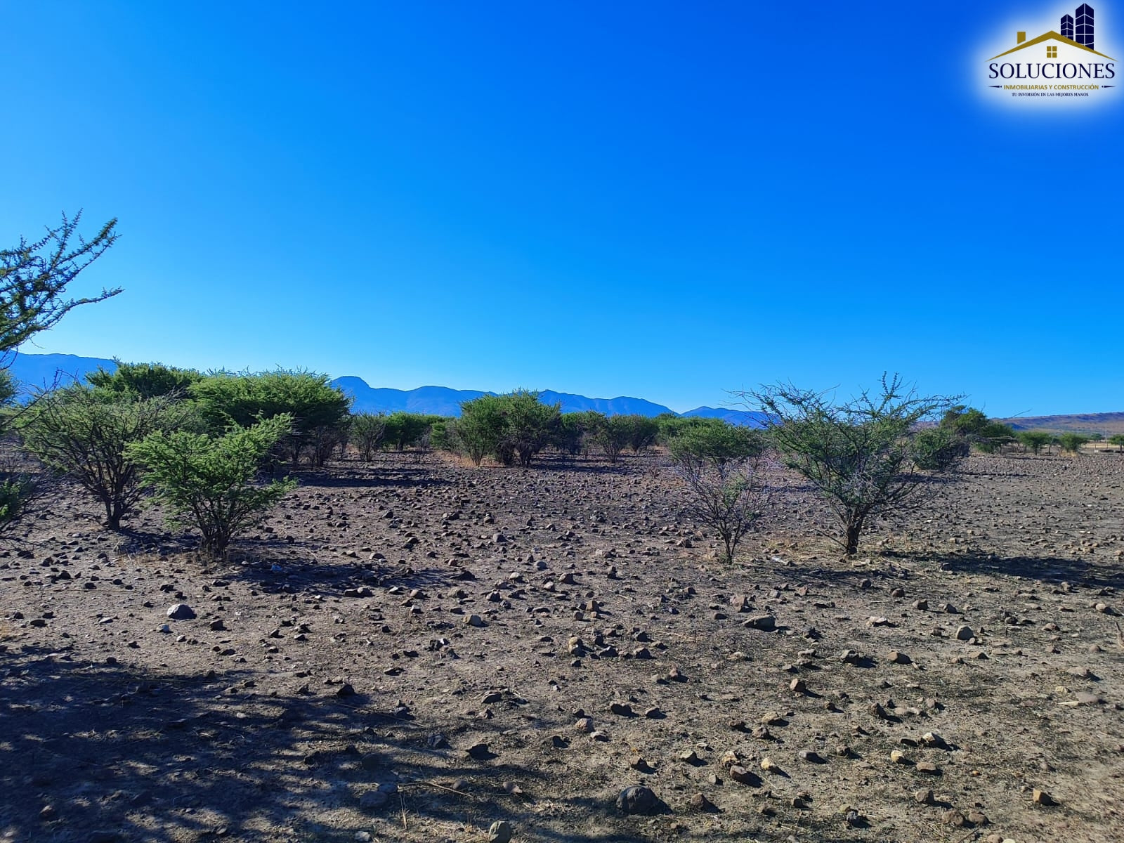 HECTAREAS EJIDO JOSE MARIA PINOSUAREZ