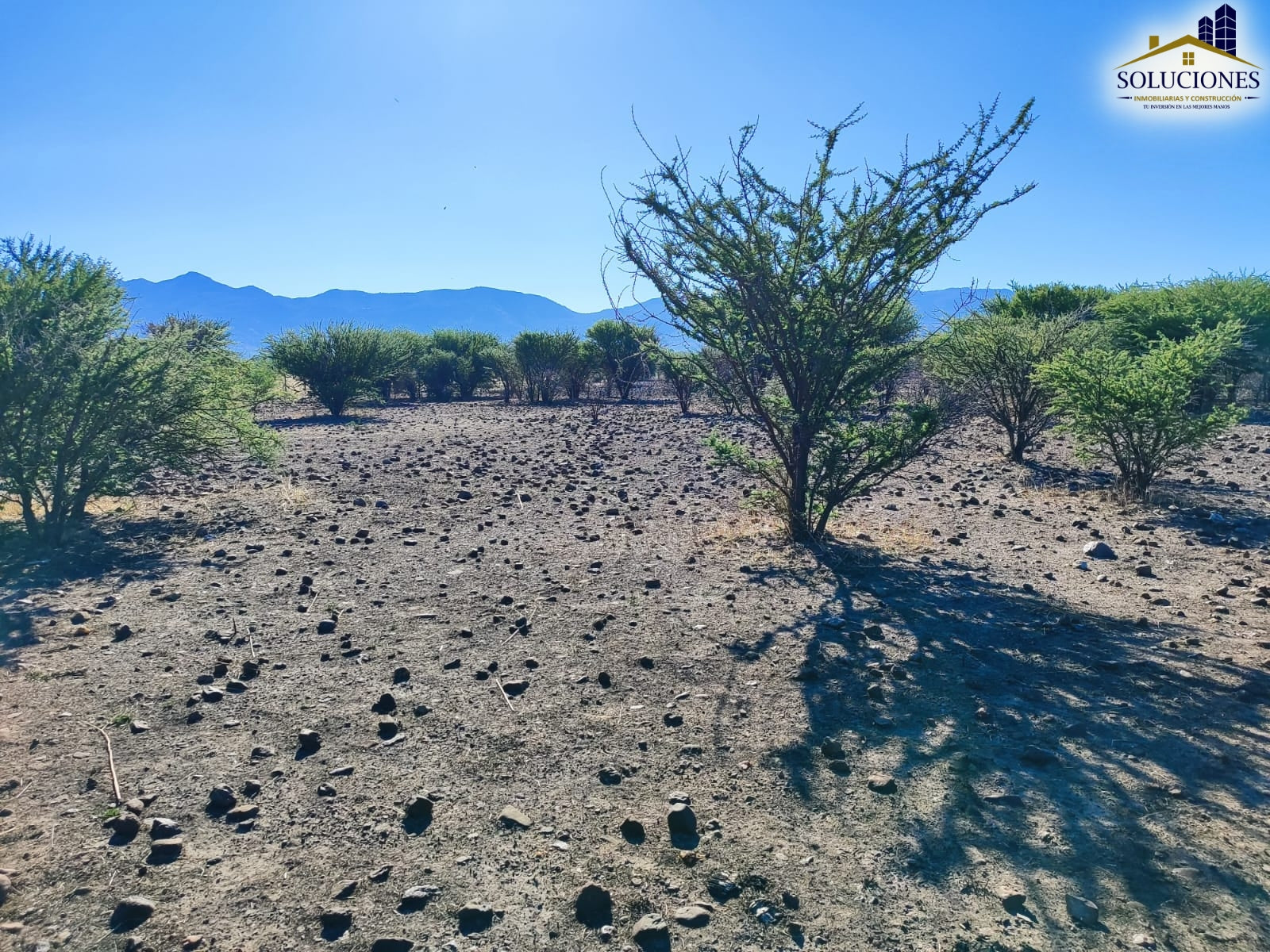 HECTAREAS EJIDO JOSE MARIA PINOSUAREZ