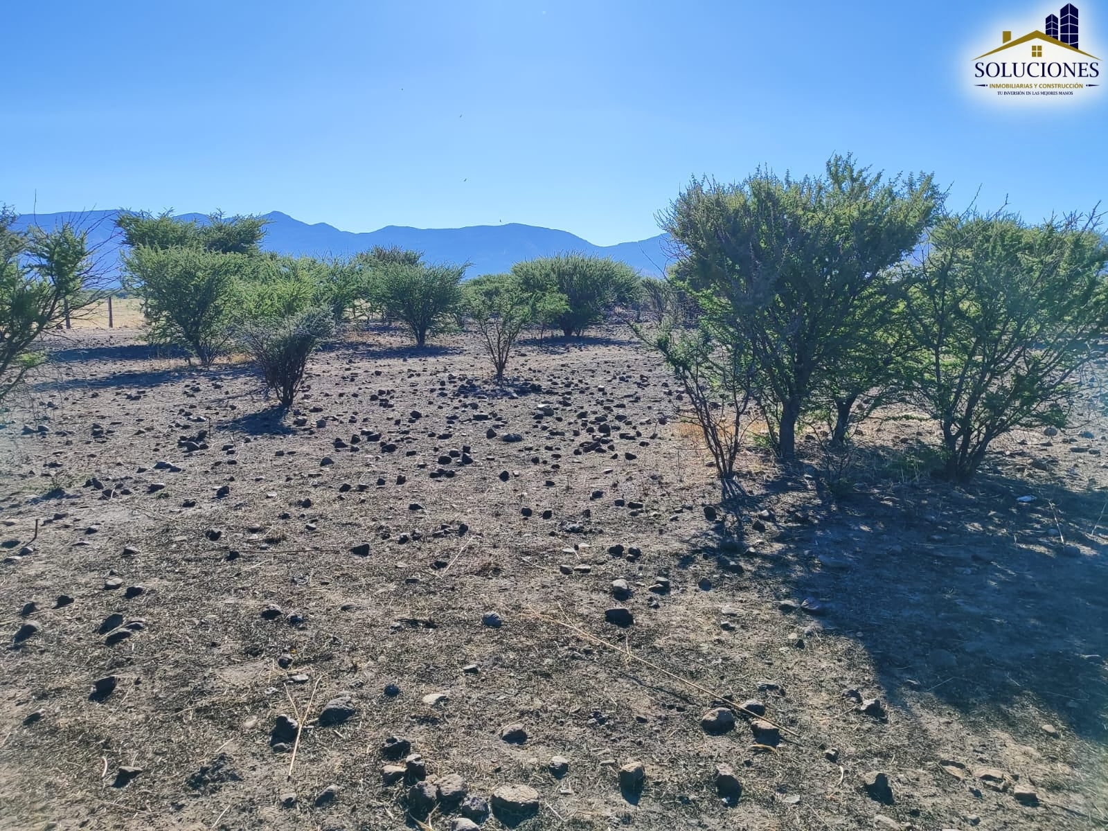 HECTAREAS EJIDO JOSE MARIA PINOSUAREZ