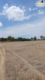 ANTIGUA HACIENDA LABOR DE GUADALUPE