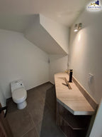 Fraccionamiento Ancira