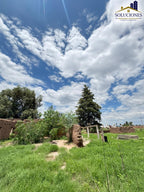 Hectáreas en Canatlán