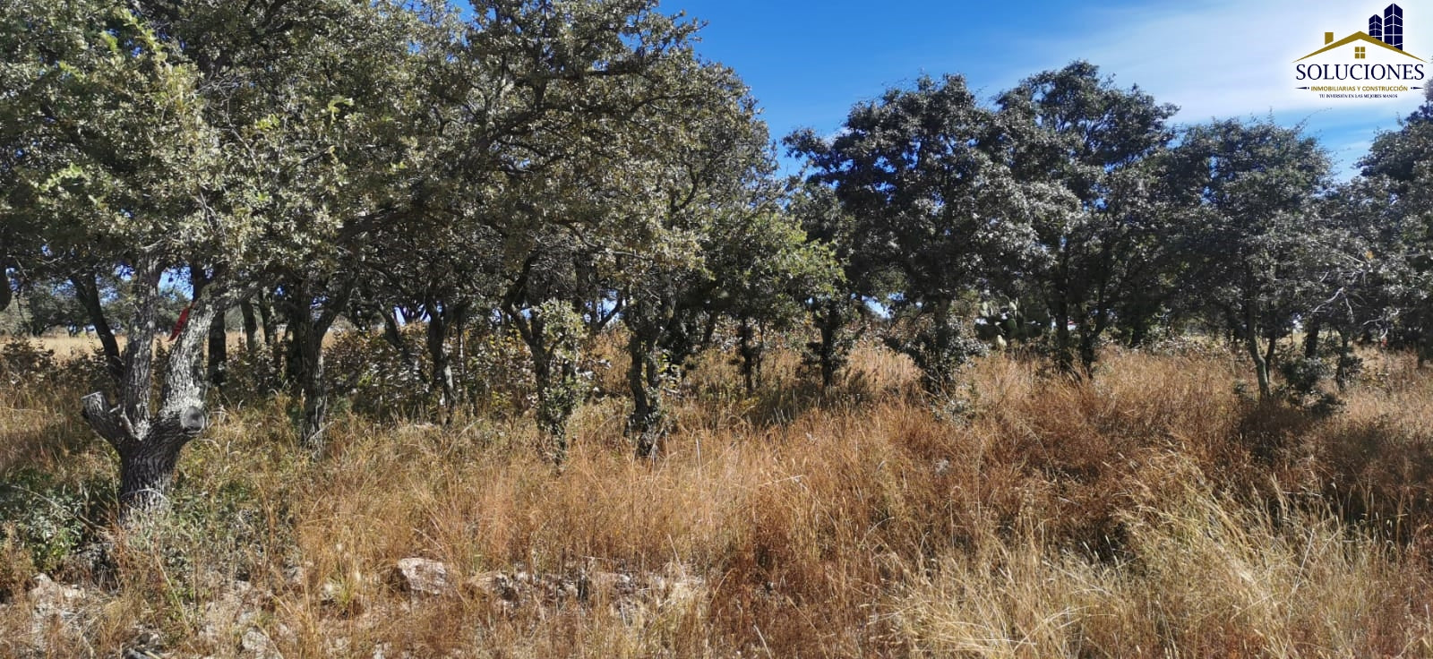 𝗙𝗿𝗮𝗰𝗰𝗶𝗼𝗻𝗮𝗺𝗶𝗲𝗻𝘁𝗼 𝗘𝗰𝘂𝗲𝘀𝘁𝗿𝗲 𝗡𝘂𝗲𝘃𝗮 𝗜𝗻𝗴𝗹𝗮𝘁𝗲𝗿𝗿𝗮