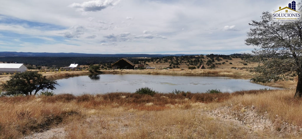 𝗙𝗿𝗮𝗰𝗰𝗶𝗼𝗻𝗮𝗺𝗶𝗲𝗻𝘁𝗼 𝗘𝗰𝘂𝗲𝘀𝘁𝗿𝗲 𝗡𝘂𝗲𝘃𝗮 𝗜𝗻𝗴𝗹𝗮𝘁𝗲𝗿𝗿𝗮