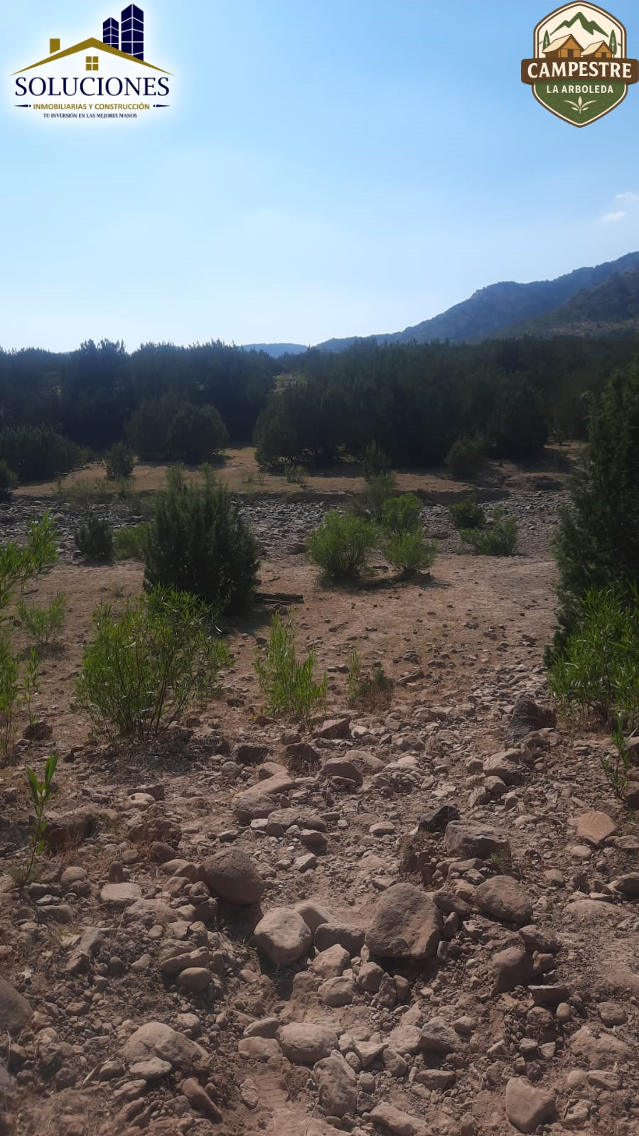 Campestre La Arboleda