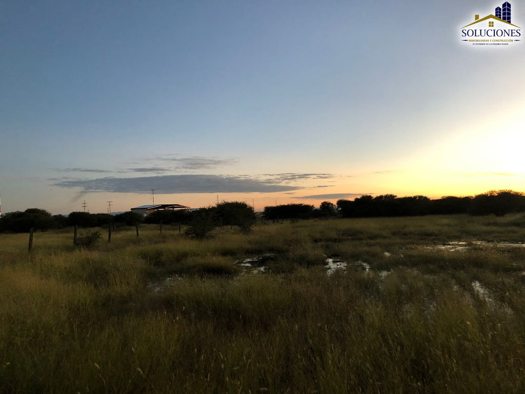 Frente al aeropuerto, camino a Malaga