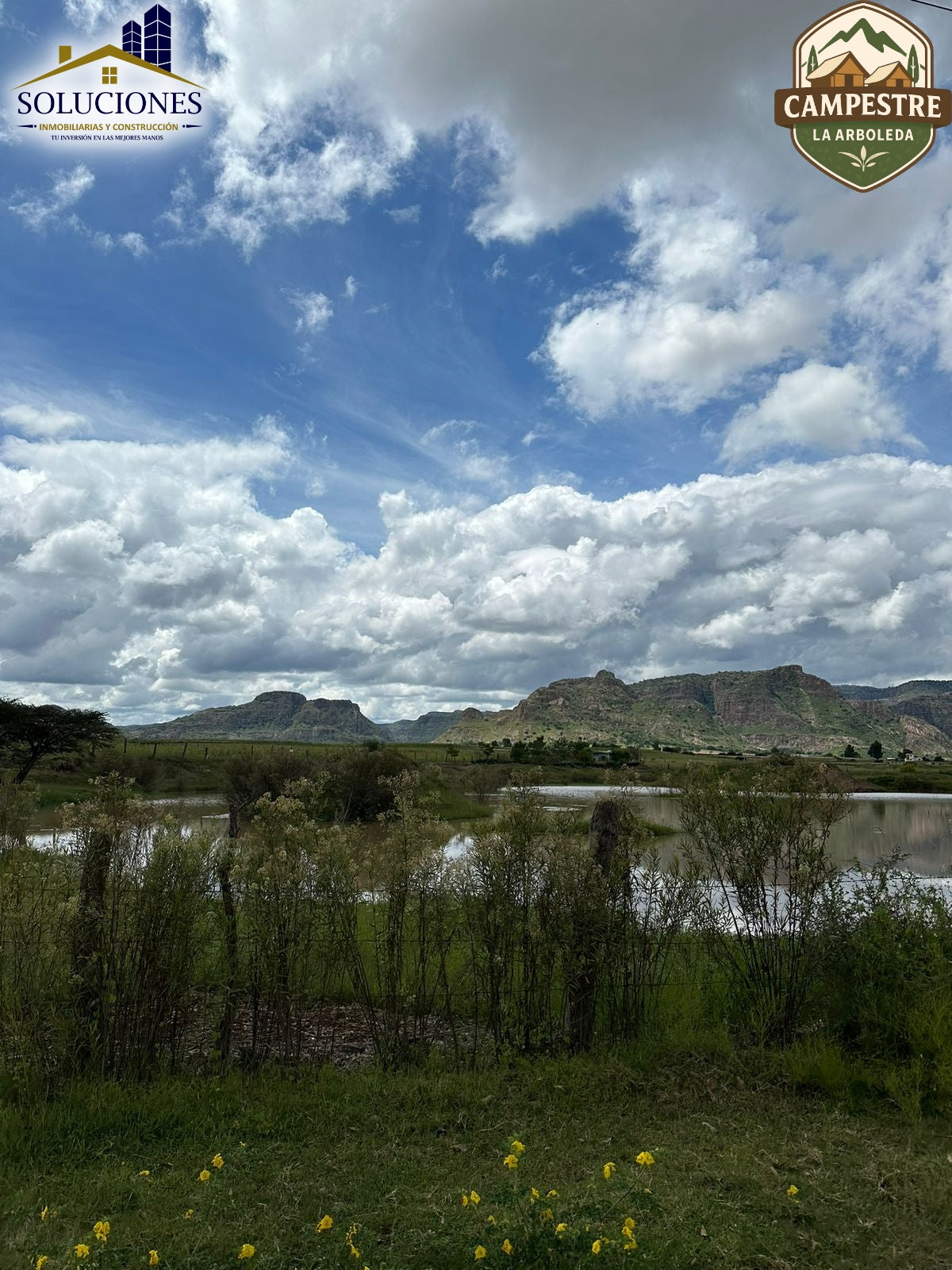 Campestre La Arboleda