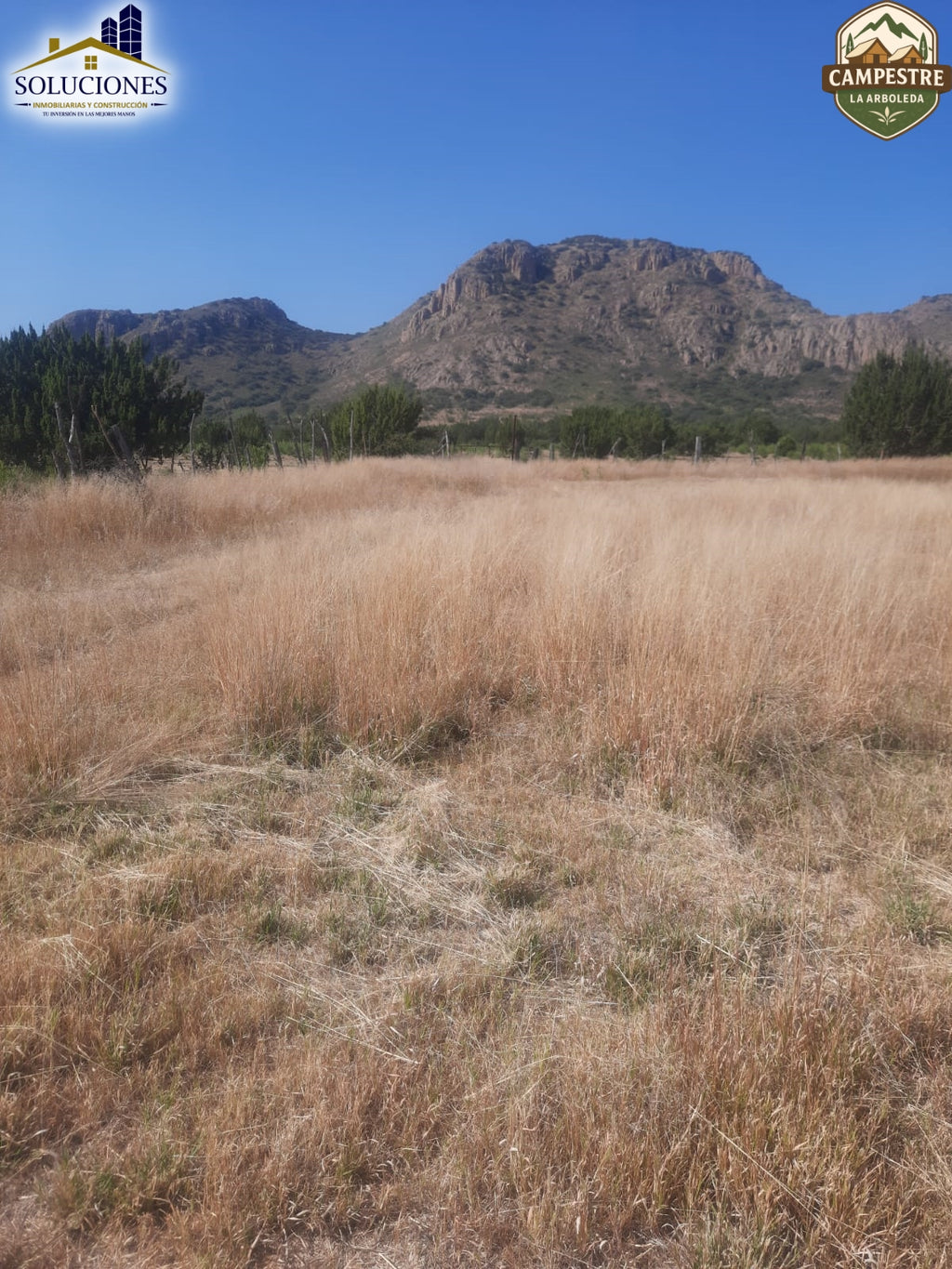 Campestre La Arboleda