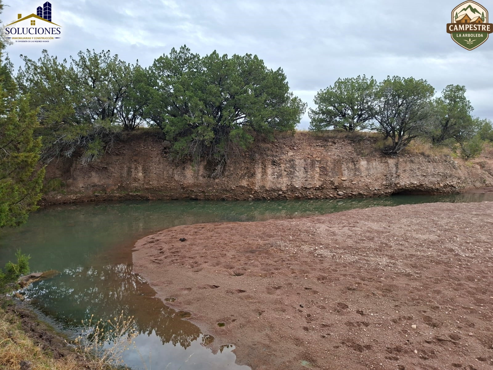 Campestre La Arboleda