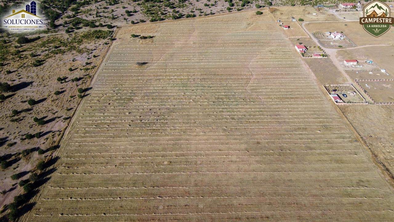 Campestre La Arboleda