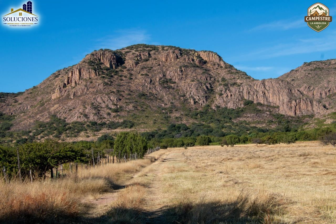 Campestre La Arboleda