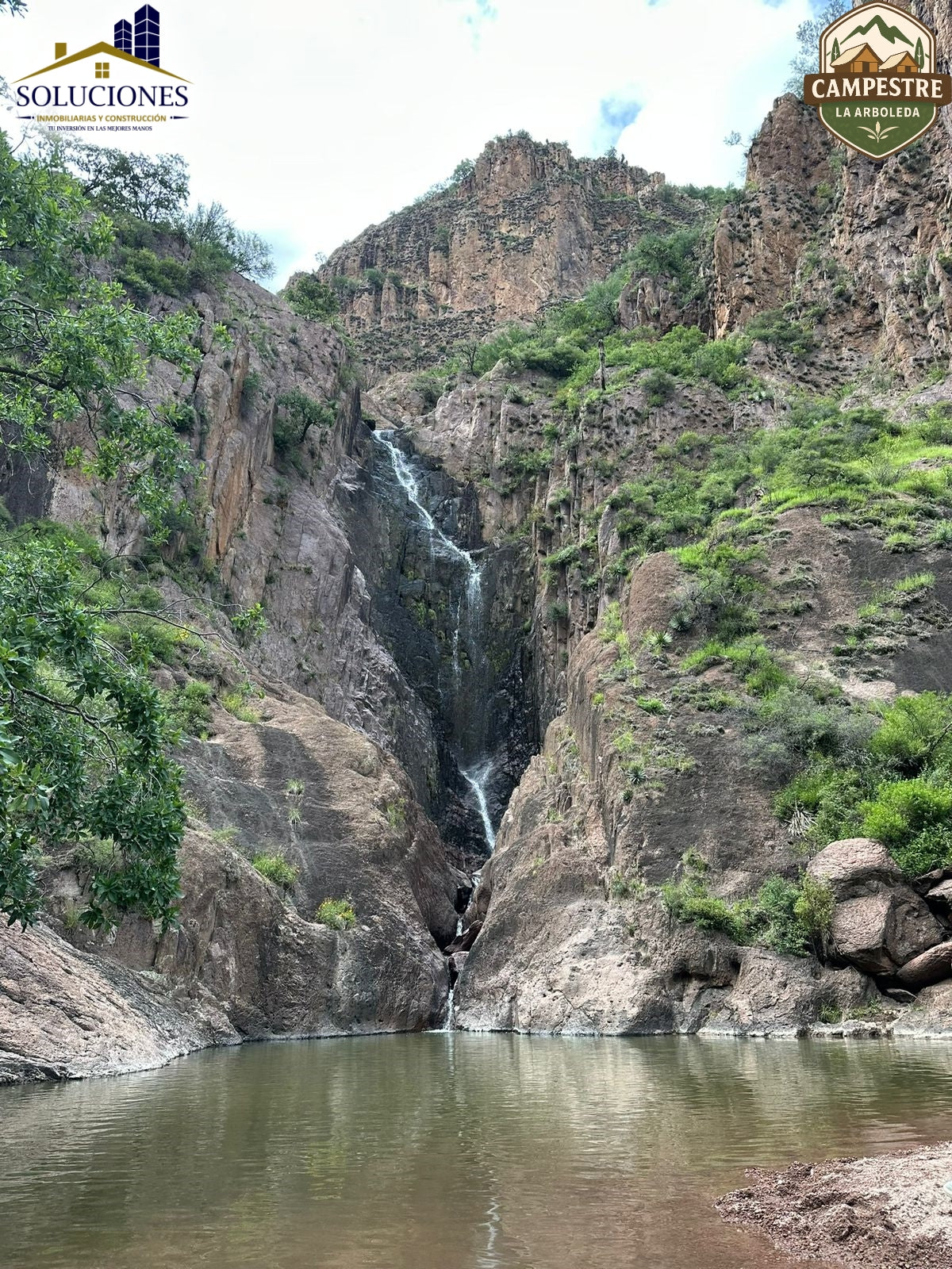 Campestre La Arboleda