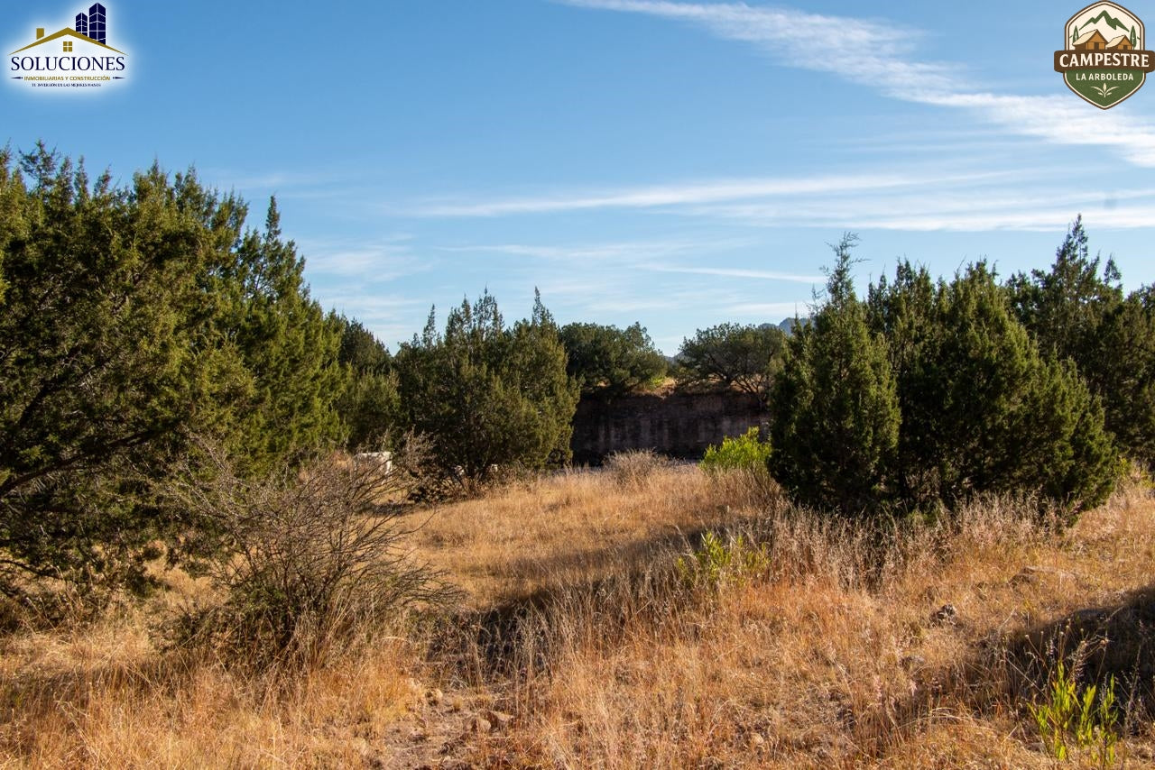 Campestre La Arboleda