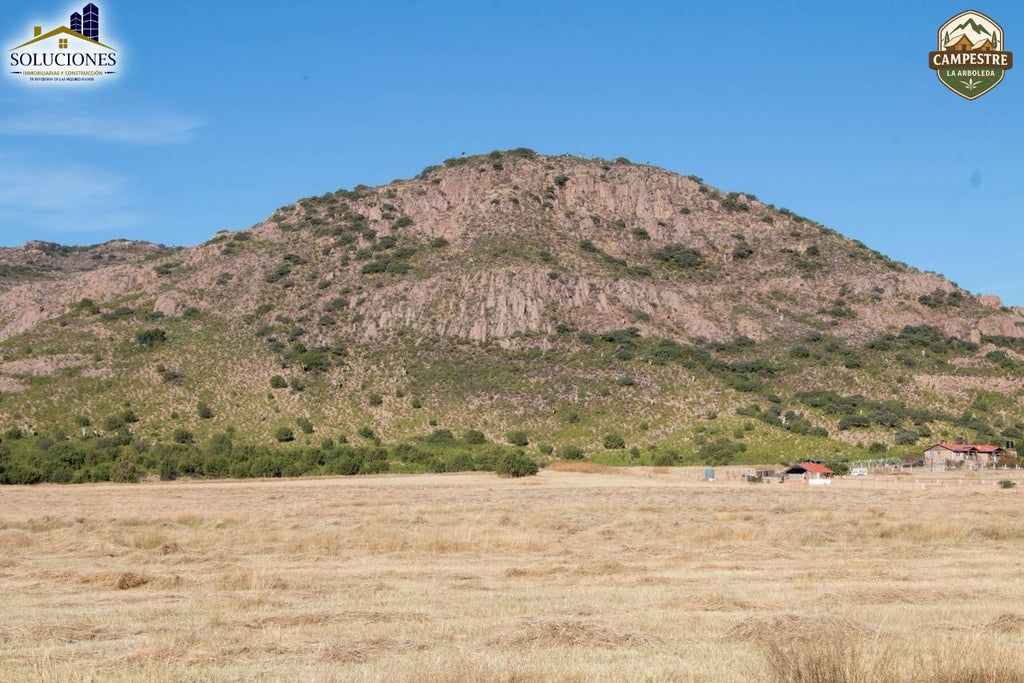 Campestre La Arboleda