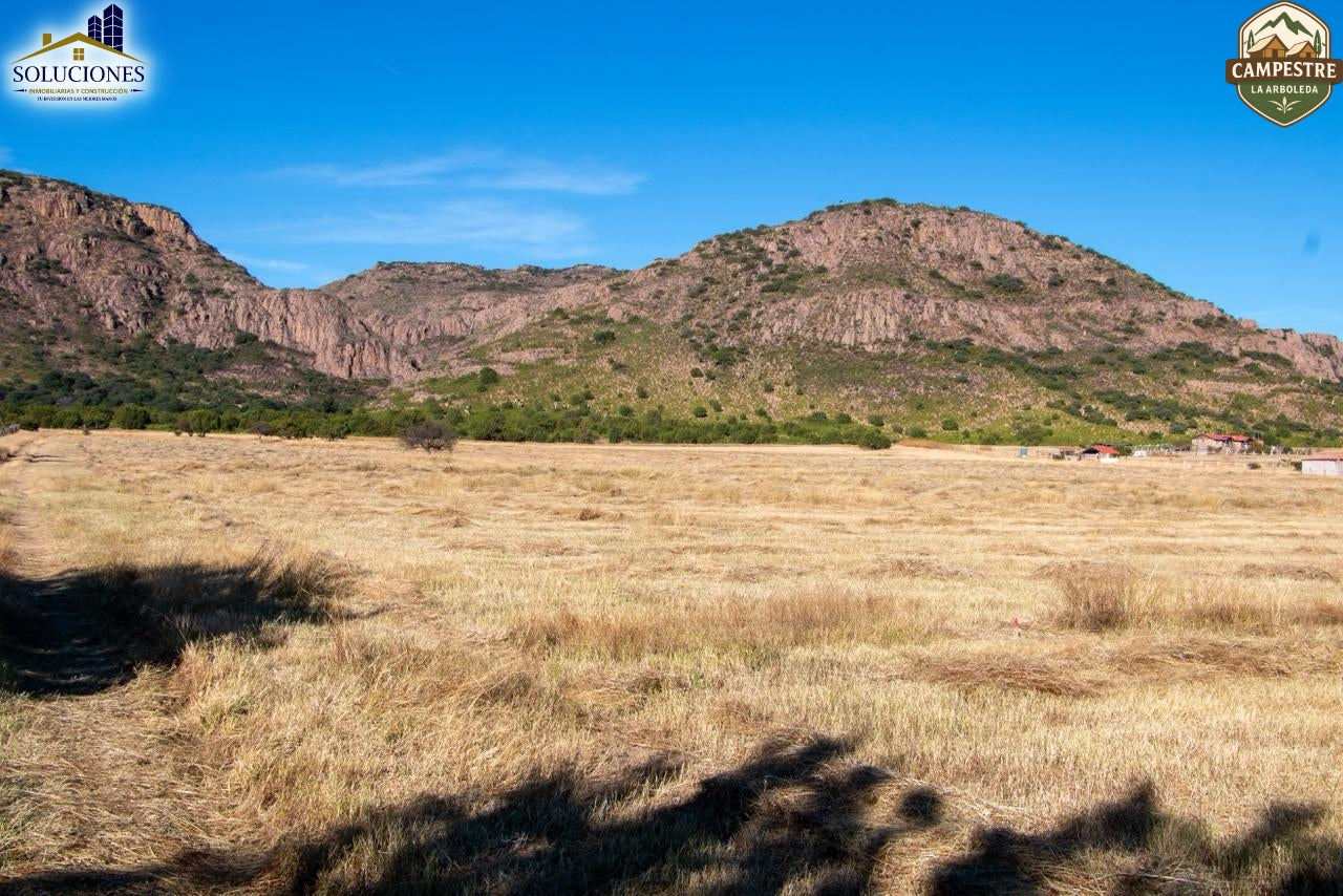 Campestre La Arboleda