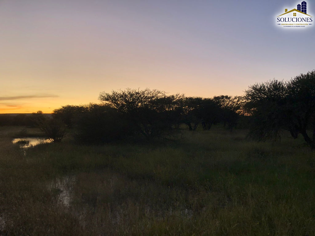 Frente al aeropuerto, camino a Malaga