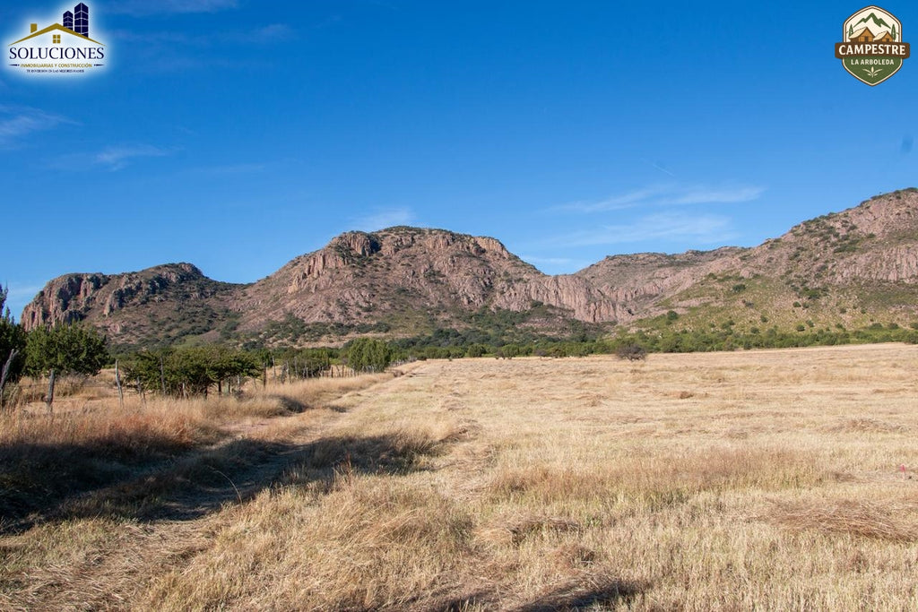Campestre La Arboleda