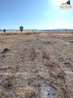 Kilometro 17 Carretera Mezquital