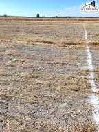 Kilometro 17 Carretera Mezquital