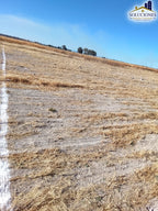 Kilometro 17 Carretera Mezquital