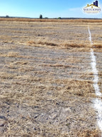 Kilometro 17 Carretera Mezquital