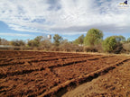 Rancho en Cardenchos, municipio de Nombre de Dios, Durango