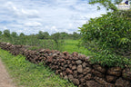 Rancho en Cardenchos, municipio de Nombre de Dios, Durango