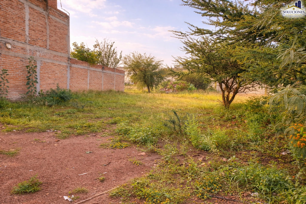 Colonia Buenos Aires