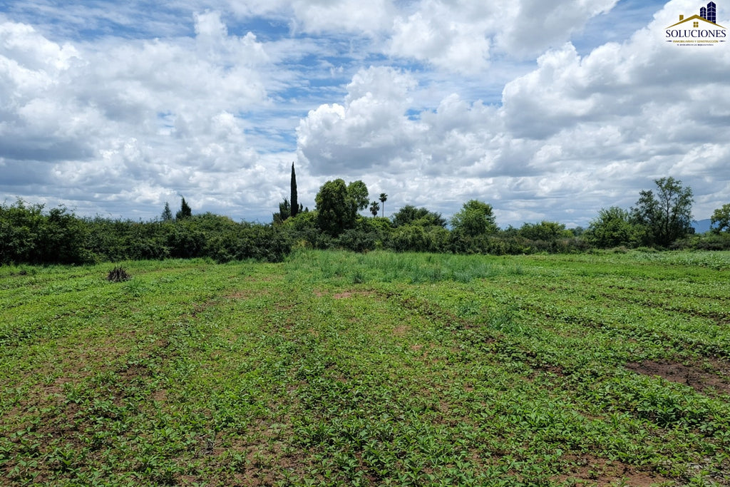 Rancho en Cardenchos, municipio de Nombre de Dios, Durango