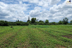 Rancho en Cardenchos, municipio de Nombre de Dios, Durango