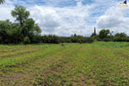 Rancho en Cardenchos, municipio de Nombre de Dios, Durango
