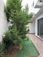 Residencial Linda Vista