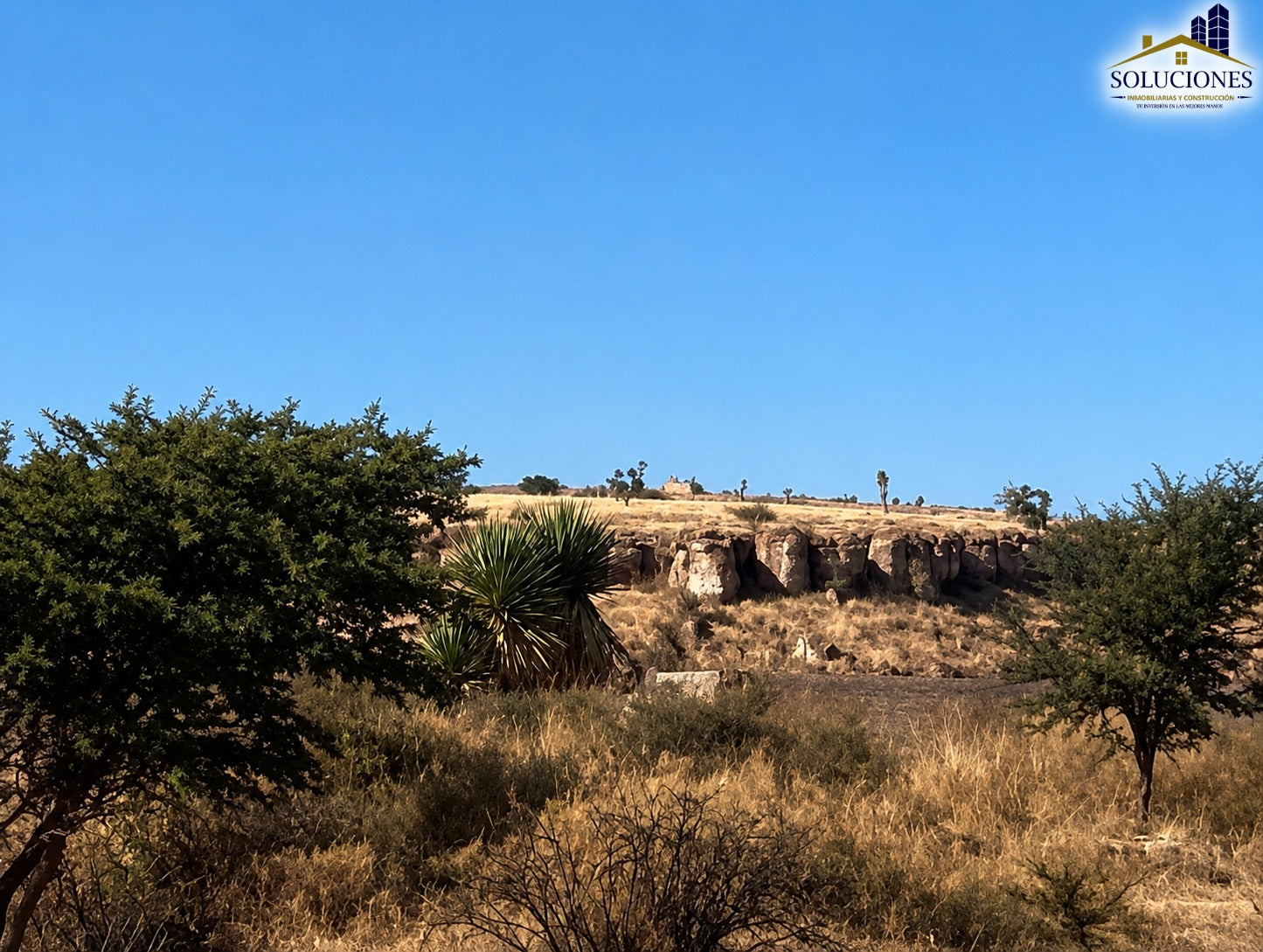 Col del Bosque
