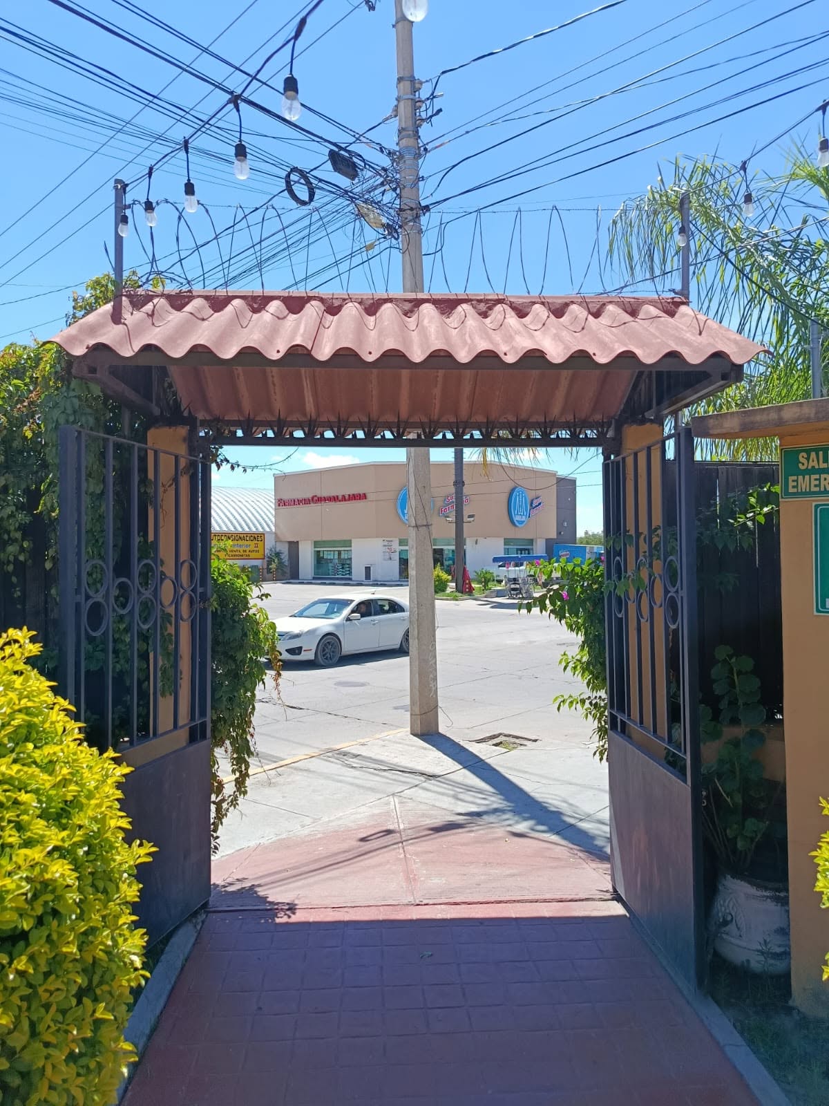𝗘𝗻𝗿𝗶𝗾𝘂𝗲 𝗖𝗮𝗿𝗿𝗼𝗹𝗮 𝗔𝗻𝘁𝘂𝗻𝗮