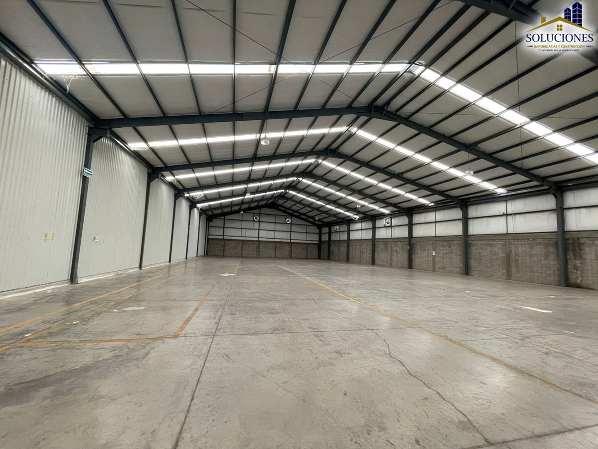 Bodega Rumbo a Cinco de Mayo