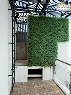 Fraccionamiento Hernandez