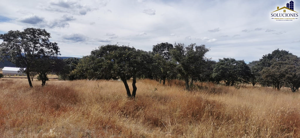 Terreno en Fraccionamiento Ecuestre Nueva Inglaterra