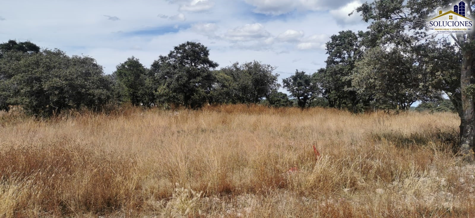 Terreno en Fraccionamiento Ecuestre Nueva Inglaterra